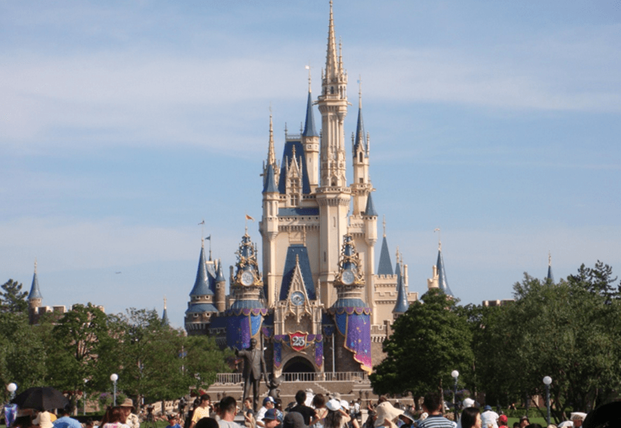 Oops! Accidental Photobomber Ruins Disney World Proposal