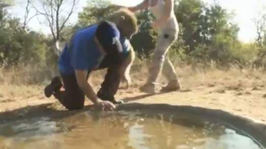 VIDEO: Adam Sandler Lunged at By Cheetah While on Safari