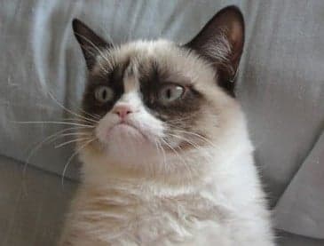 You’ve Got Mail: Grumpy Cat Extends Her Appeal With New US Postage Stamps
