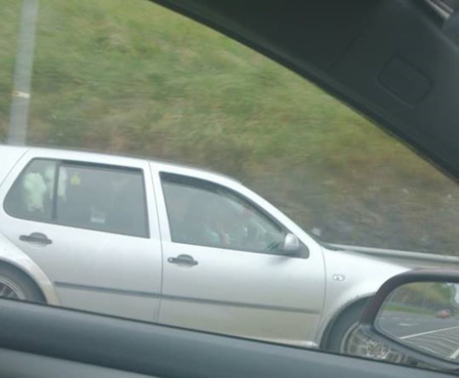 PICTURE: Udder-ly Fantastic… Two Cows In The Backseat Of A Car On The M50