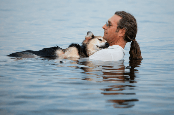 Schoep, The Dog Whose Picture Touched the World, Has Died