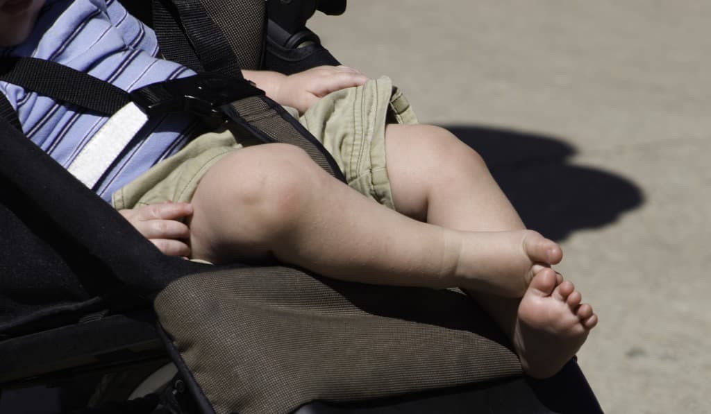 Family Matters: Nearly Four Out of Ten Buggies Tested Have High Levels of Bacteria