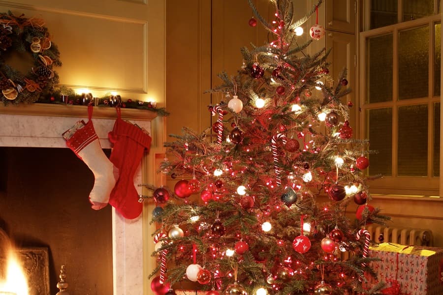 The Weirdest Story Ever? Mayo News Report On Man Found In Christmas Tree