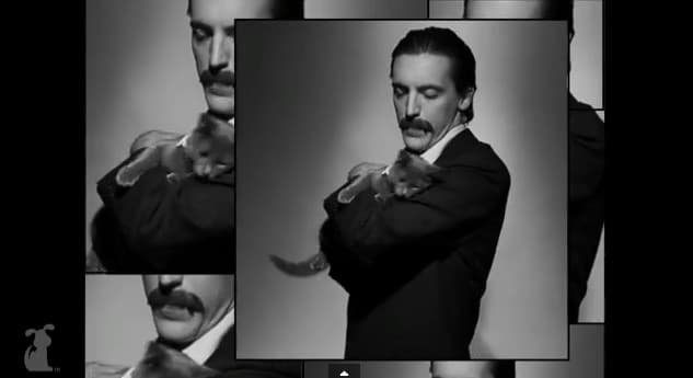 “I’m the Cat Man!”: Music Parody of Scatman Featuring Furry Felines
