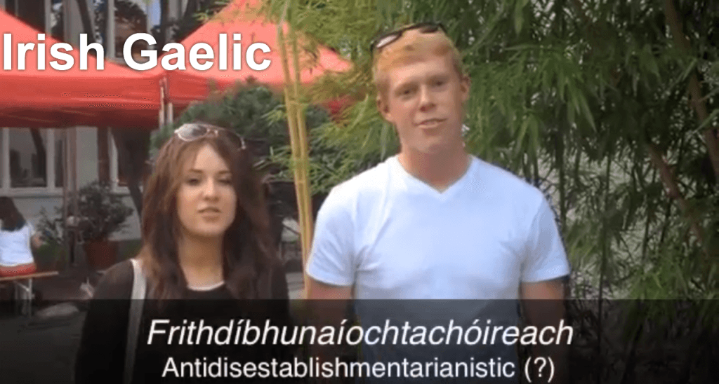 VIDEO: What’s the Longest Word in Your Language?