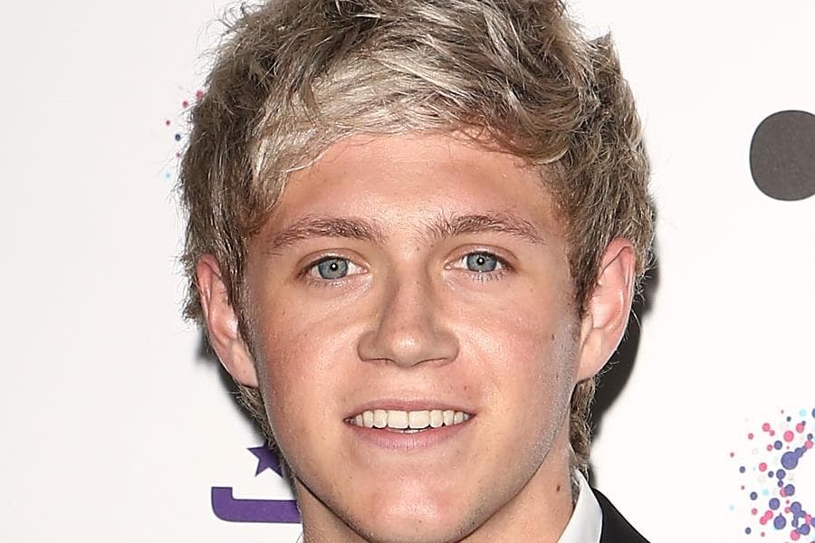“Wrecking the place” – Niall Horan Tweets Pic From V Festival