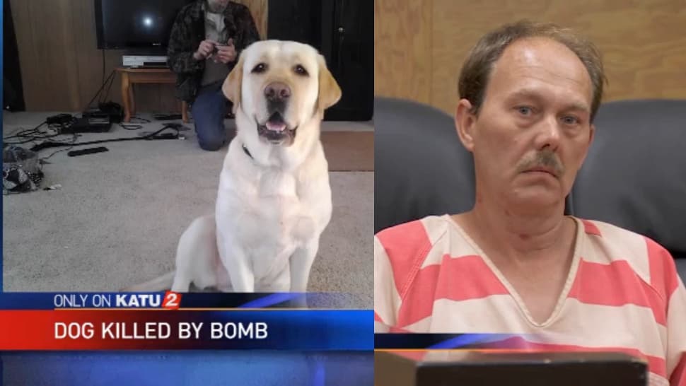 Man Blows up Dog but Won’t Face Animal Cruelty Charges say Prosecutors