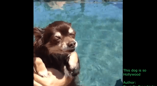 VIDEO – Compilation Of The Best Vine Videos Of 2013 So Far