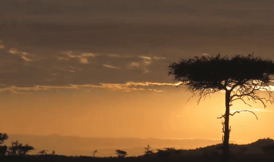 Booking Your Honeymoon? Kenya Has All You Need