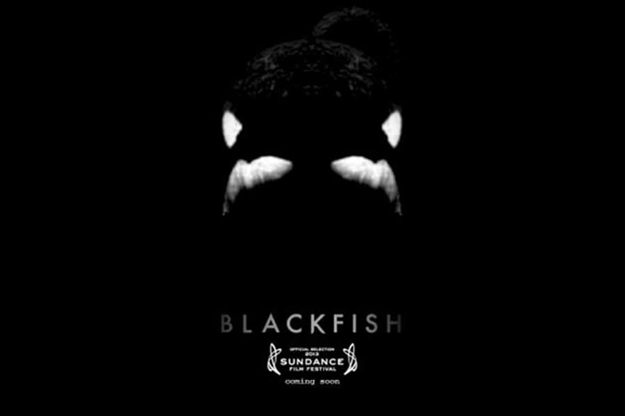 REVIEW – Blackfish, SeaWorld’s Worst Nightmares On The Big Screen