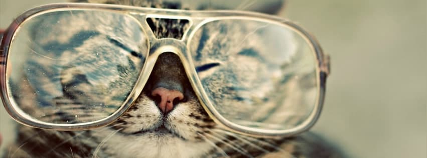 Twelve Things Hipsters Ruined For The Rest Of Us