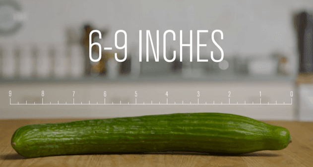 NSFW VIDEO: We’ll Give You One… Of Your Five-A-Day