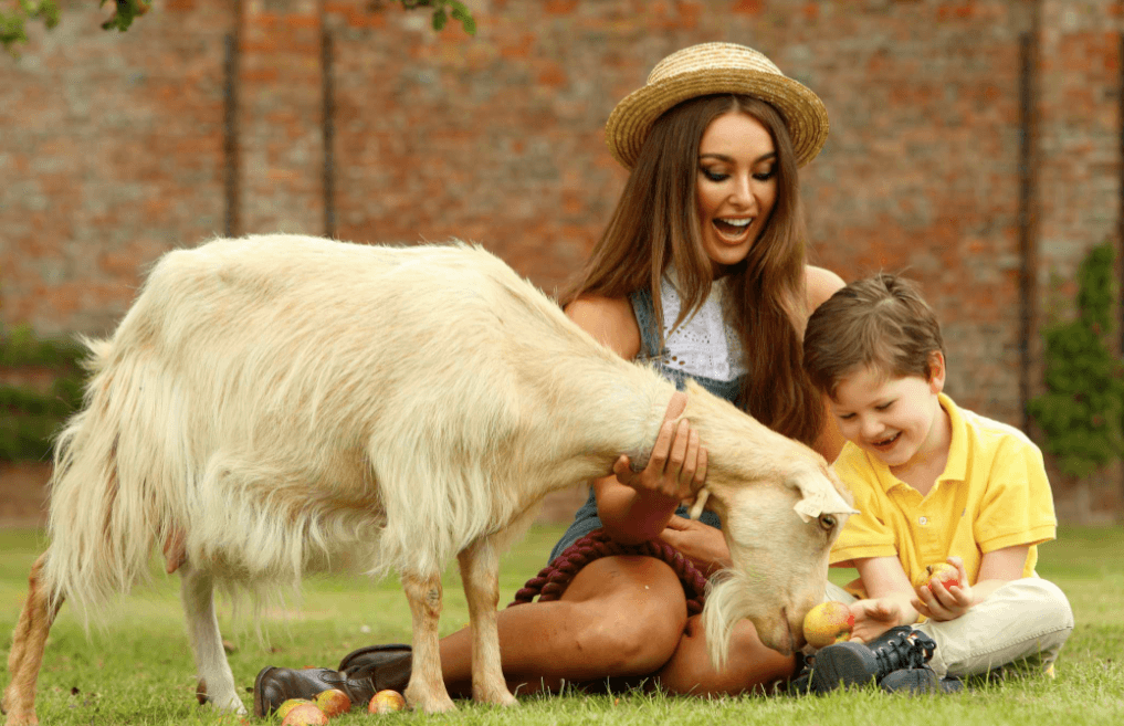 Bake Offs, Delicious Dishes and the Best Groomed Cow: The Flavours of Fingal County Show is Back!