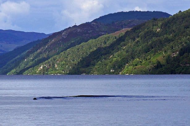 PICTURE: Is That The Loch Ness Monster? Photographer Convinced He Has Captured The Creature