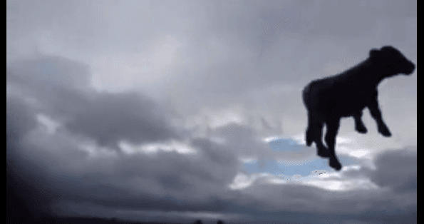 VIDEO: First Tornado Captured In Ireland
