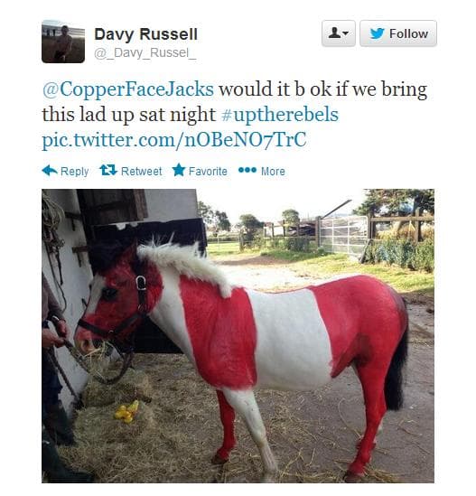 PICTURE: Cork Man Plans To Show Pony Around Coppers This Weekend