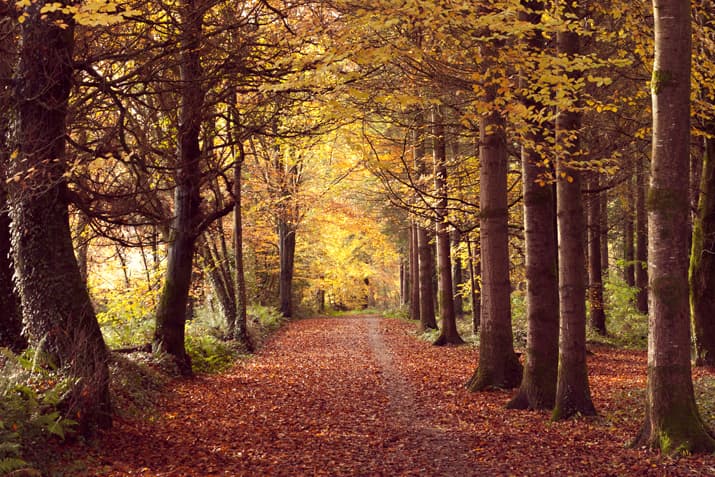 No More ID Checks… 10 Reasons Why September Is A Great Month