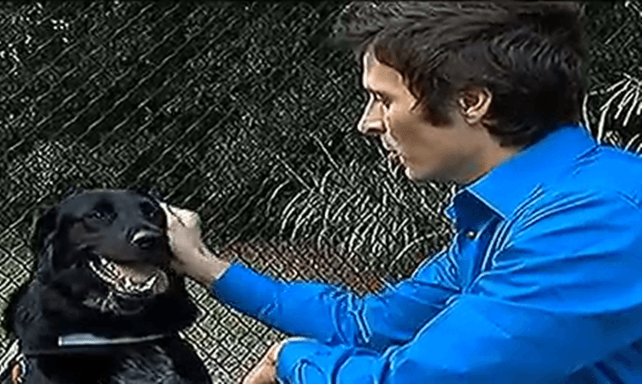 Family Dog Saves Child From Abusive Babysitter