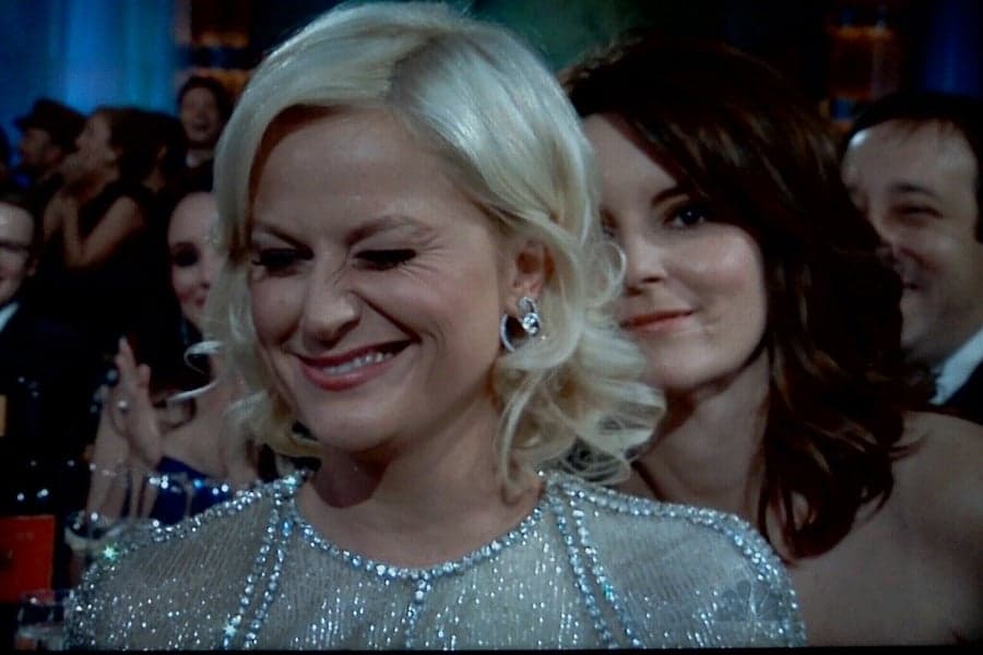 VIDEO: Who Would You Rather Run Into – Pitbull or Amy Poehler? These New Yorkers Weren’t Disappointed