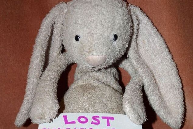 30,000 Facebook Fans Succeed In Reuniting Toddler With Her Lost Teddy