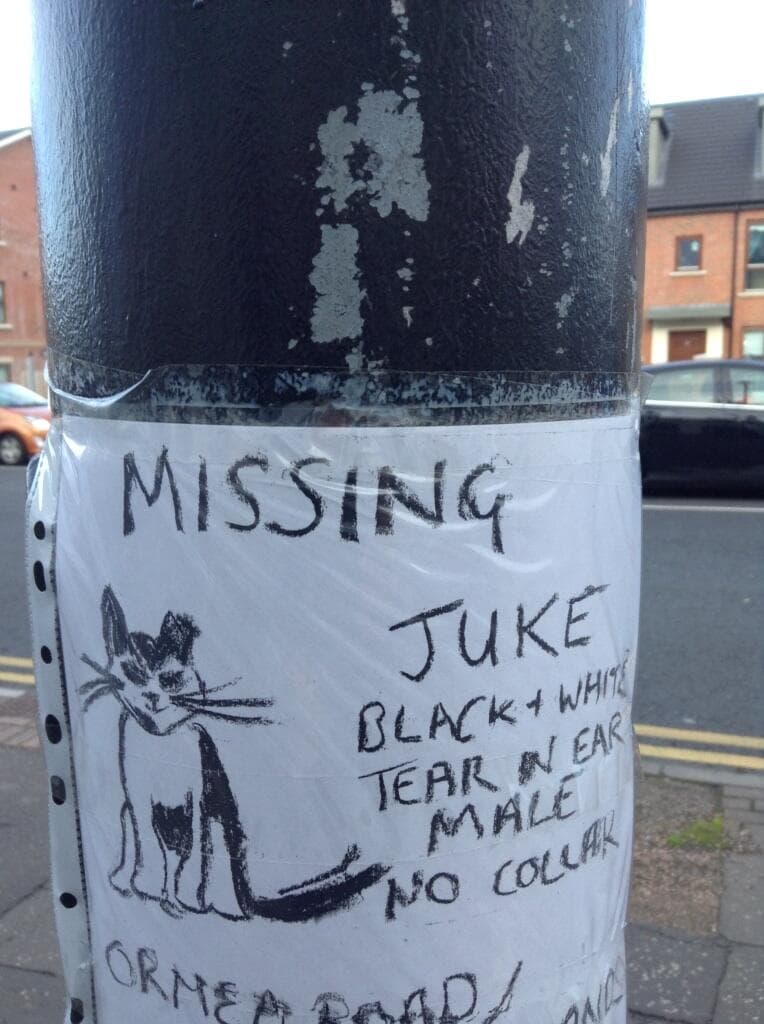 PICTURE: The Most Artistic Missing Cat Poster You’ll Ever See