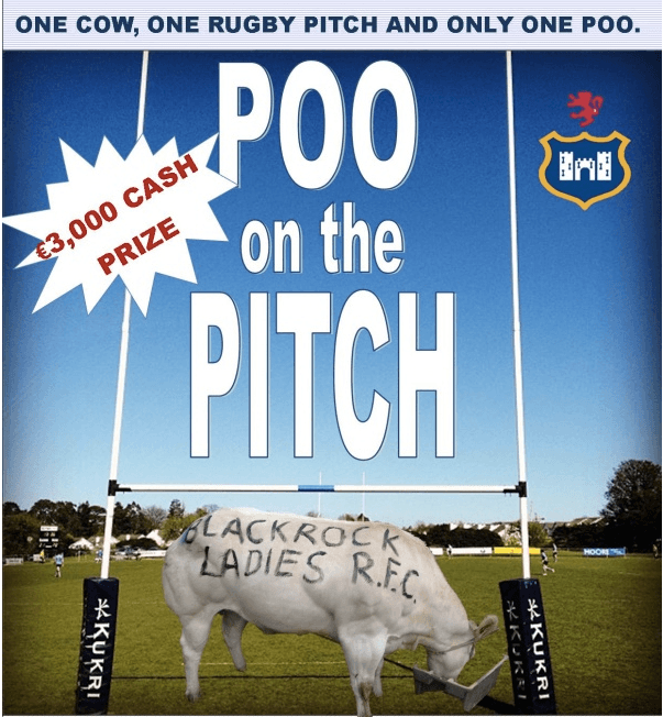 What A Load Of Dung – Genius Fundraiser Will Give You Cash For Cow Crap
