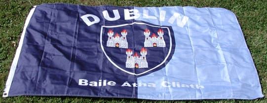 Photo: Uh-oh! This Dublin Fan is Definitely Not Going to be Happy When He Gets Home