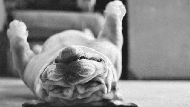 TFI Friday: 7 Reasons To Thank Feck It’s The Weekend