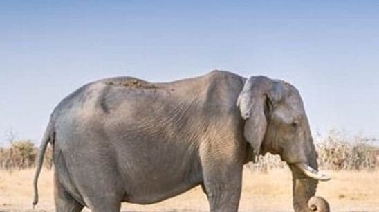 Photo: The Most Heartbreaking Image You’ll See Today…