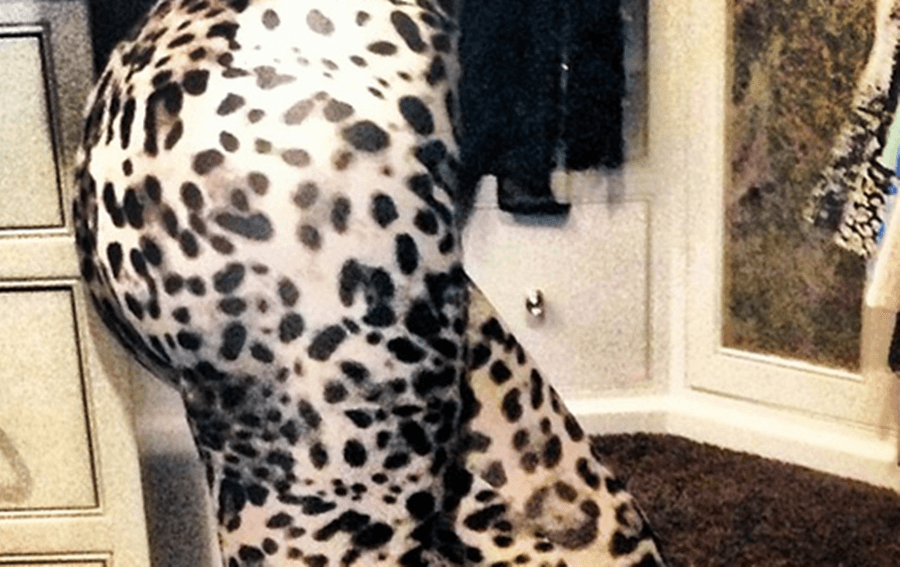 PICTURE: Another Kardashian Bum Makes An Appearance on Instagram