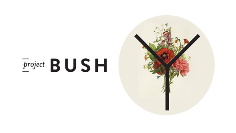 NSFW: Project Bush – Proof That Not Everyone Has Embraced The Brazilian