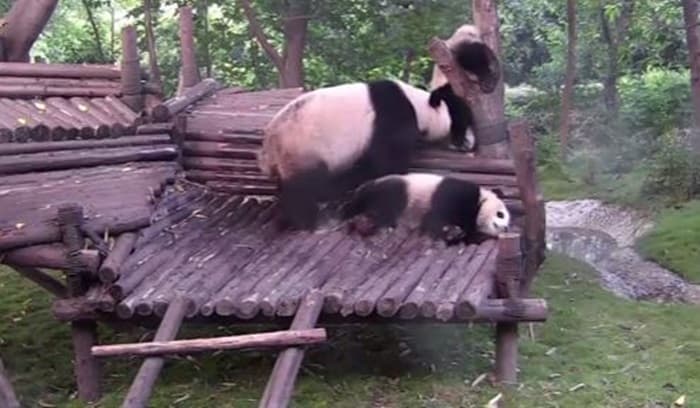 That’s Gas: The Funniest Video We’ve Seen This Week