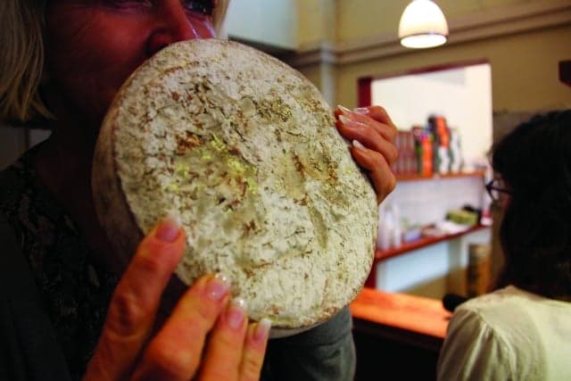 Meet the Cheeses Made from Human Tears and Belly Button Bacteria