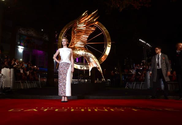 Hunger Games Star to Take a Break from Acting to Focus on Personal Life
