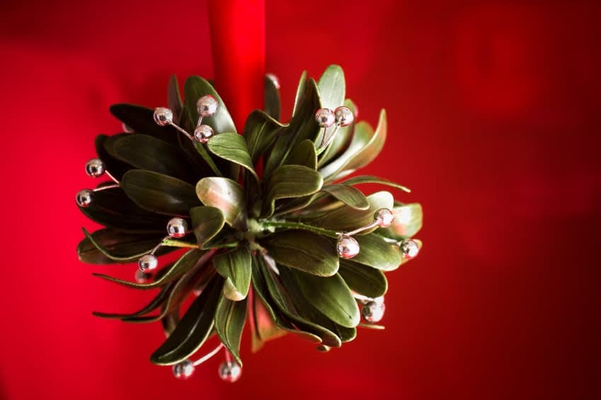Revealed: The Irish Celebs We’d Like to Kiss Under the Mistletoe This Christmas