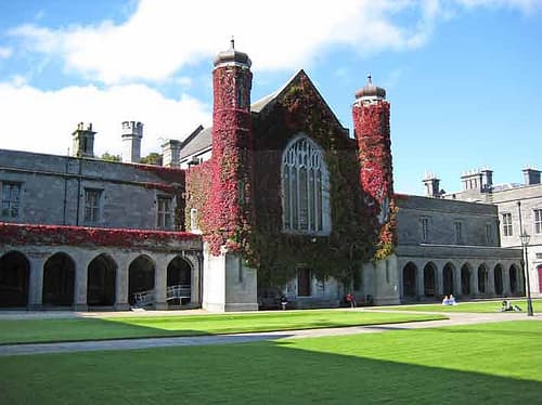 NUIG Suspends College Society After Distribution of Anti-Gay Leaflets