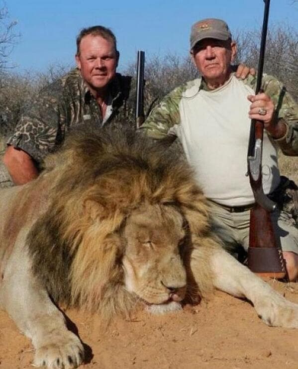 Toy Story Star Poses For Facebook Photo With Dead Lions After “Killing Safari”