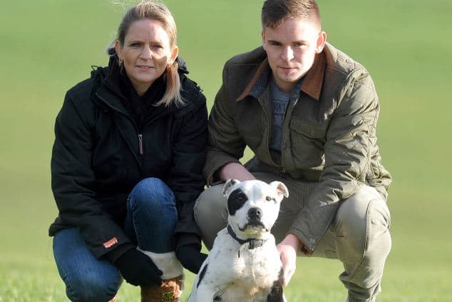 Family’s Missing Dog Returns Home After Disappearing… 10 Years Ago