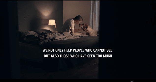 Watch: This Touching Video Demonstrates The Power Of Service Dogs To Help Their Owners