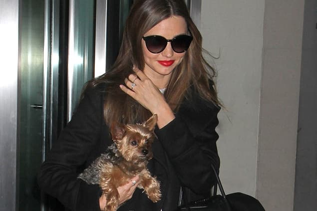 GALLERY – “It’s Just Me And My Dog…” Sixteen Celebrities And Their Pets