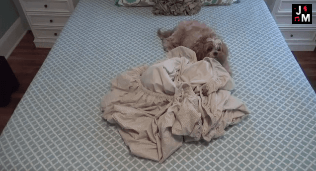 Watch: This Video Teaches You How to Fold the Dreaded Fitted Sheet – Through Song