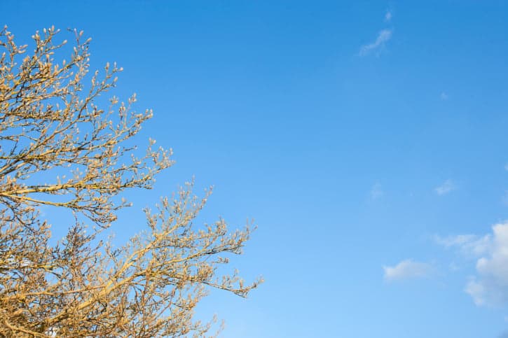 Spring Has Sprung – There Is Just So Much To Look Forward To!