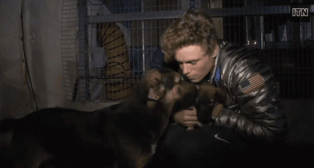 VIDEO – US Olympic Athlete Tries To Adopt Adorable Stray Dogs From Sochi