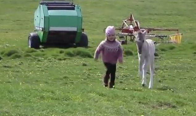 Friday Aww: The Cutest Video We’ve Seen This Week