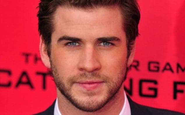 Liam Hemsworth Just Pulled Off A Pretty Epic Photobomb