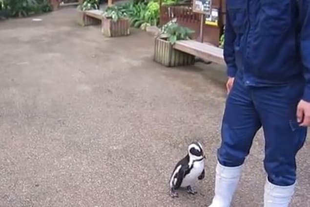 That’s Gas: The Funniest Video We’ve Seen This Week