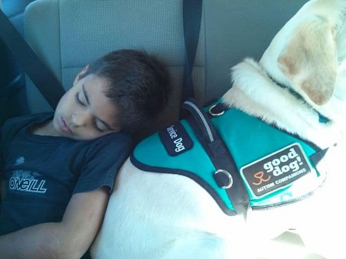 A Man’s Best Friend – This Boy And His Dog Have A Very Special Bond