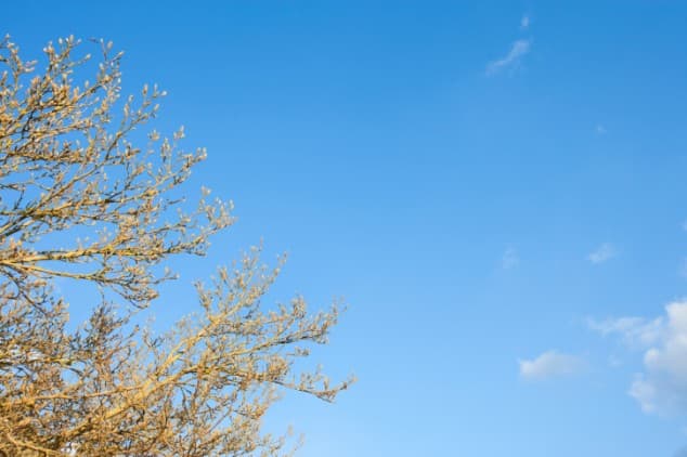 “Dry And Settled” – Finally There Is Some Good Weather News