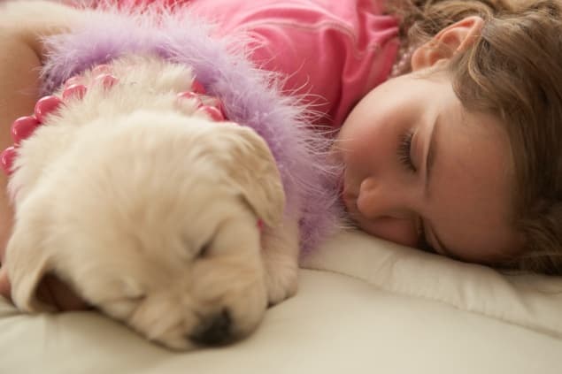“I Would Absolutely Love A Dog” Eight-Year-Old Girl Pens Clever Note Asking Her Mom For A Pet Puppy