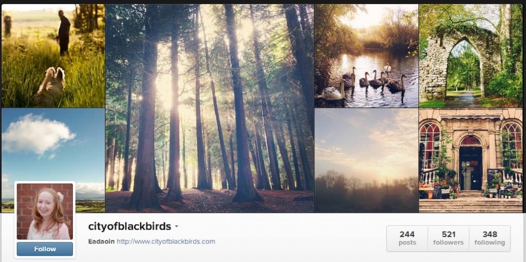 City of Blackbirds – This Week’s Must Follow Irish Instagram Account